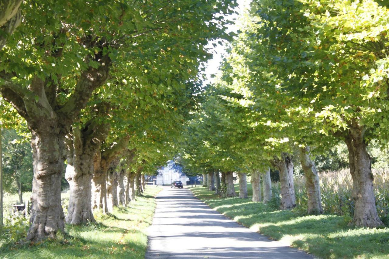 Saint-Just  Avenue Du Chateau מראה חיצוני תמונה